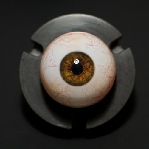 Fourth Seal Studios | Camera Ready Brown Hazel Eyes (Pair) 26mm / 28mm