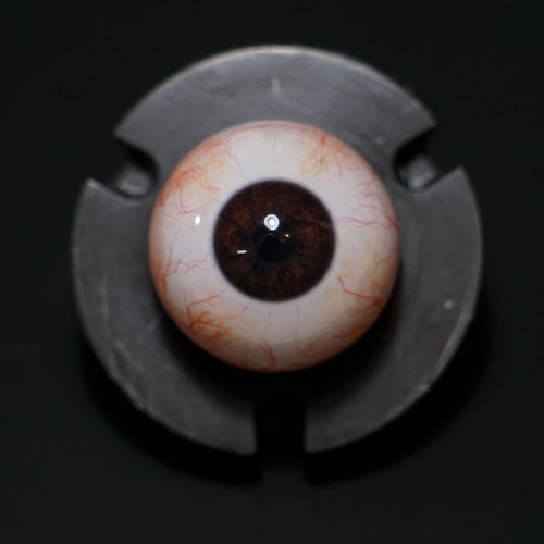 Fourth Seal Studios | Camera Ready Brown Eyes (Pair) 26mm / 28mm