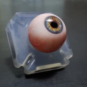 Fourth Seal Studios | Camera Ready Coastal Eyes (Pair) 26mm / 28mm